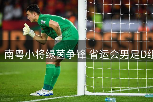 南粤小将绿茵争锋 省运会男足D组上演精彩角逐